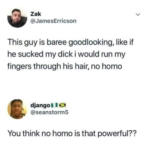 This meme is a humorous exchange between two Twitter users. The first user, @JamesErrison, jokes that someone is "so hot" they'd be attractive even if they didn't have a penis, implying that their physical appearance is so captivating that it would be attractive even if they were lacking a key feature. The second user, @djang0, responds with a sarcastic comment about the idea of being attractive without a penis, suggesting that it's a ridiculous and unrealistic expectation.